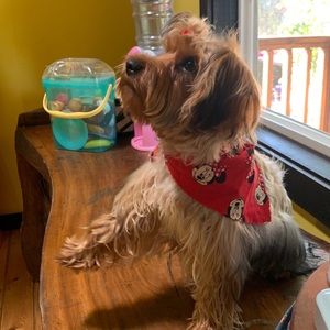 Meet your Posher, Sofia